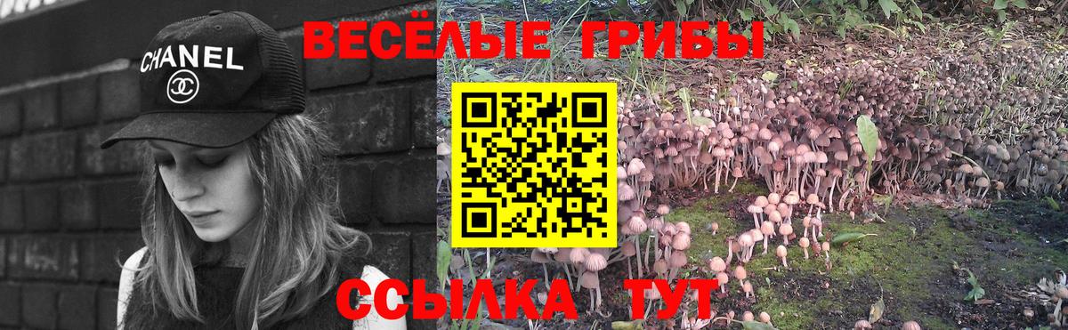 Галлюциногенные грибы мухоморы  Вход с VPN  Галлюциногенные грибы GOLDEN TEACHER  Лесосибирск 